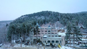 Valentina Castle